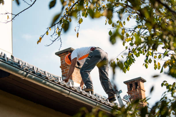 Best Roof Gutter Cleaning  in Tuckahoe, VA