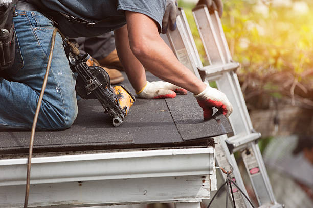 Roof Gutter Cleaning in Tuckahoe, VA