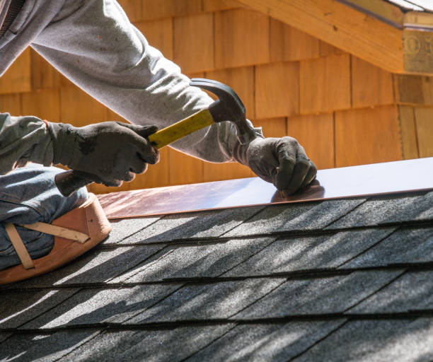 Best Roof Gutter Cleaning  in Tuckahoe, VA